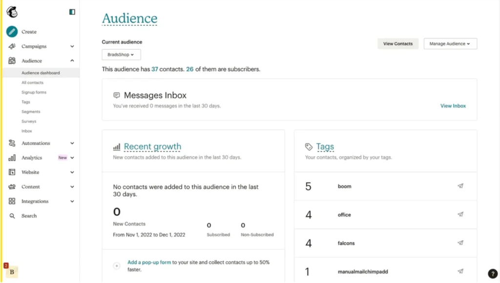 interface of mailchimp